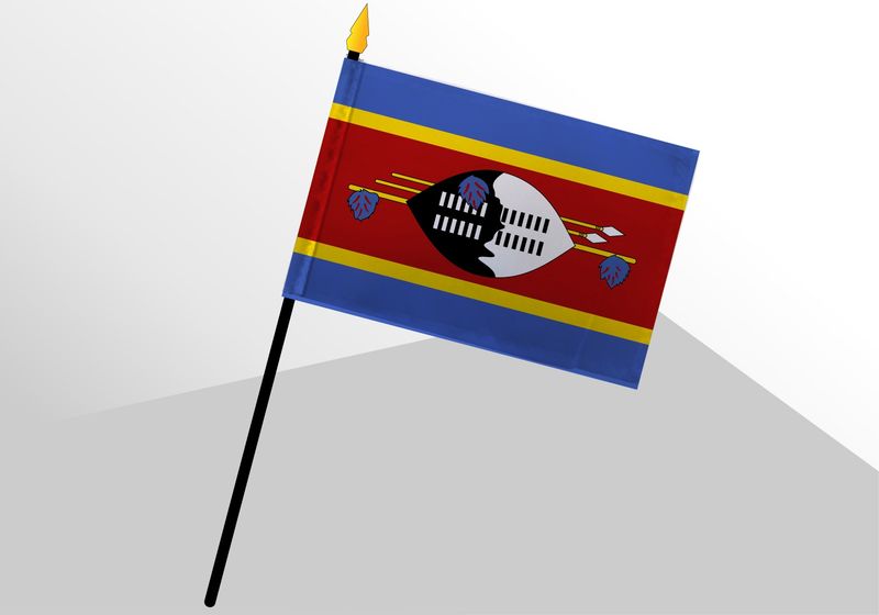 Eswatini small standard flag 4x6