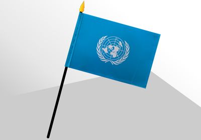 United Nations small standard flag 4x6