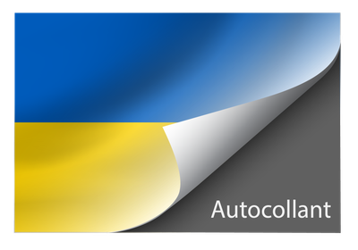 Standard Ukraine sticker
