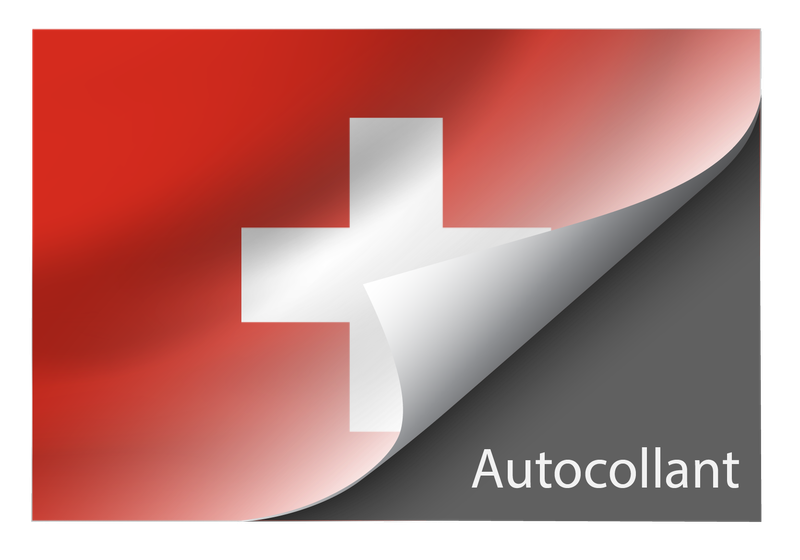 Standard Switzerland sticker