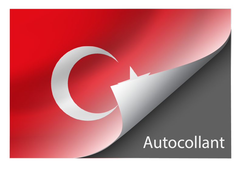 Standard Türkiye (Türkiye) sticker