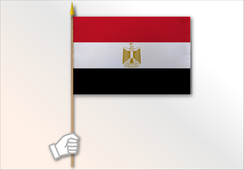 Egypt flag medium 12x18
