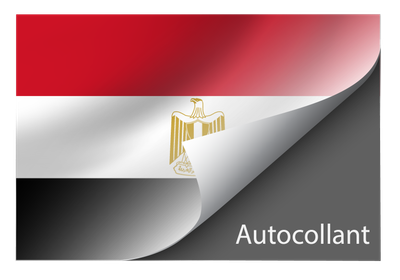 Standard Egypt sticker