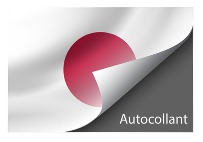 Standard Japan sticker