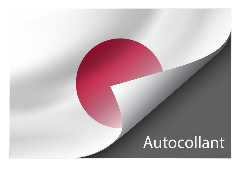 Standard Japan sticker