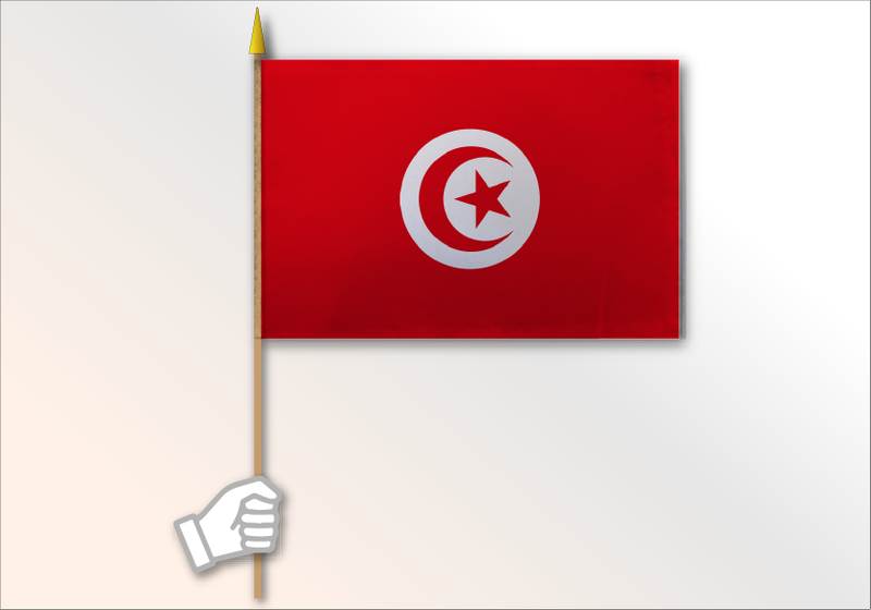 Tunisia flag medium 12x18