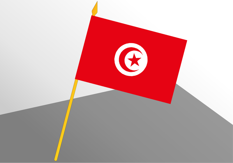 Tunisia small economic flag 4x6