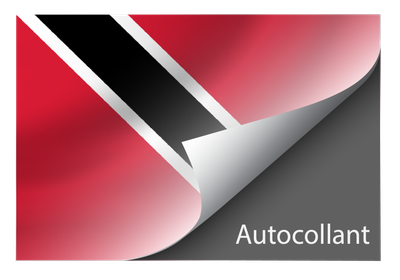 Standard Trinidad and Tobago sticker