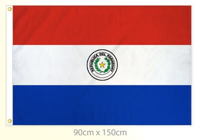 Paraguay flag large 36x60