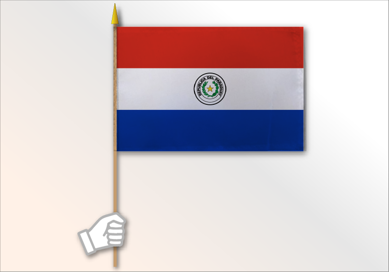 Paraguay flag medium 12x18