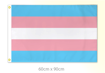 Trans Pride Flag Medium 24x36
