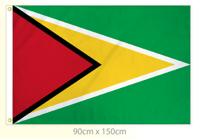 Guyana flag large 36x60