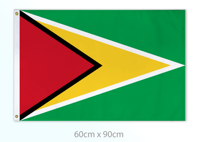 Guyana medium flag 24x36