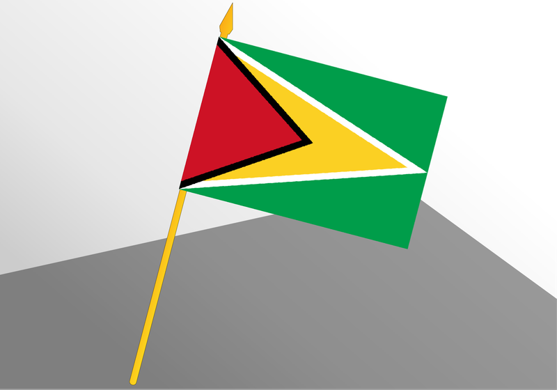 Guyana small economic flag 4x6