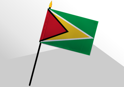 Guyana small standard flag 4x6