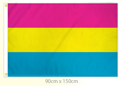 Pansexual Pride Flag Large 36x60