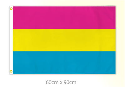 Pansexual Pride Medium Flag 24x36