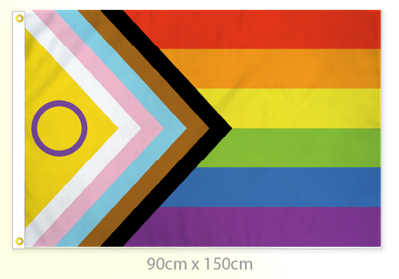 Pride Progress flag large 36x60