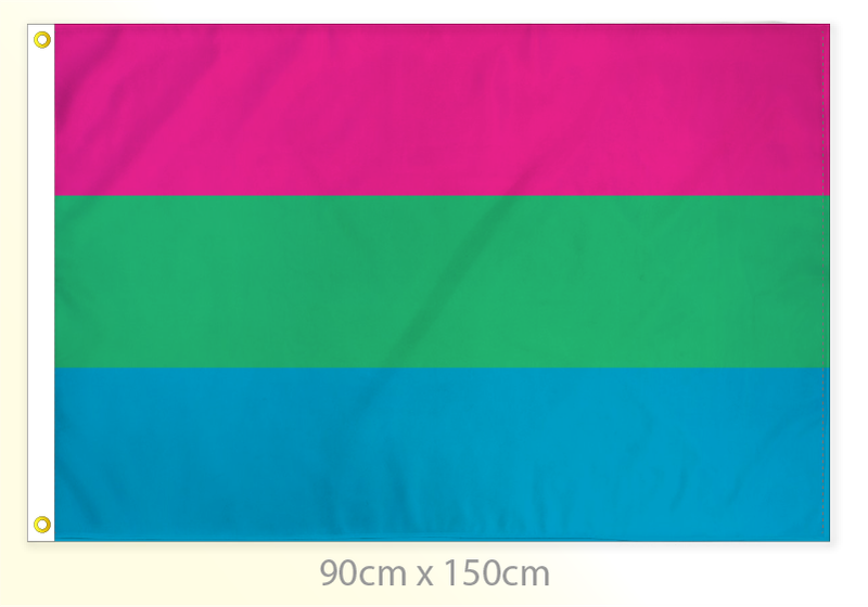 Polysexual Pride Flag Large 36x60