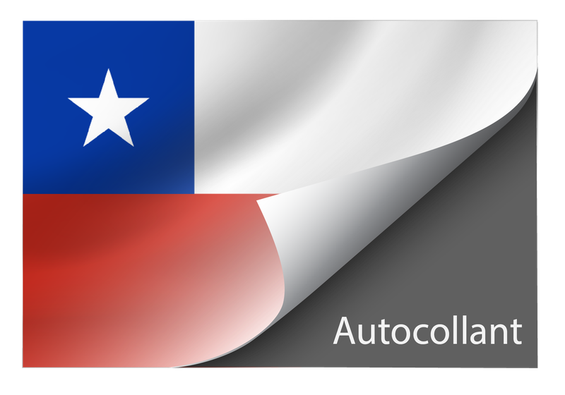 Standard Chile Sticker