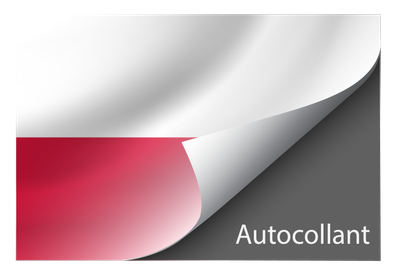 Standard Poland sticker