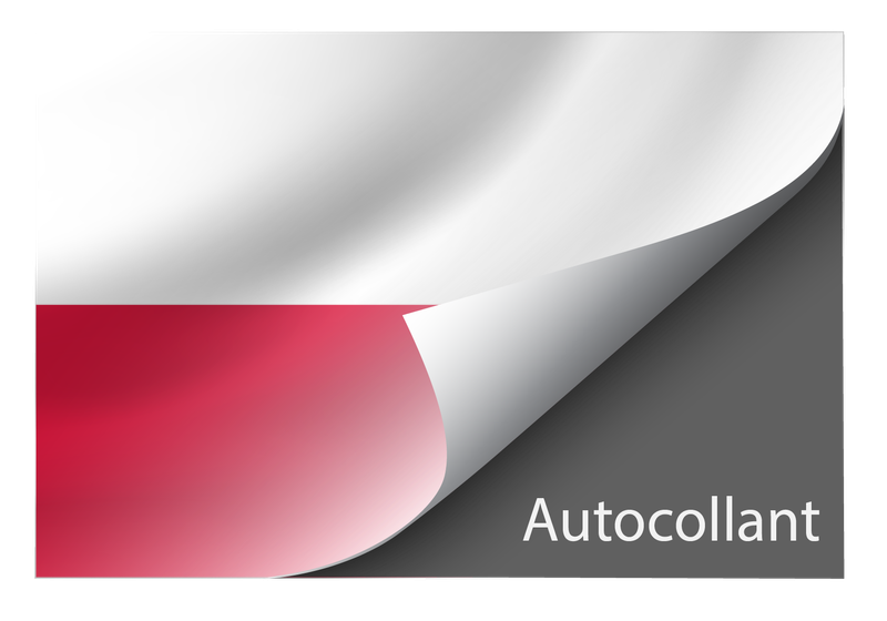 Standard Poland sticker