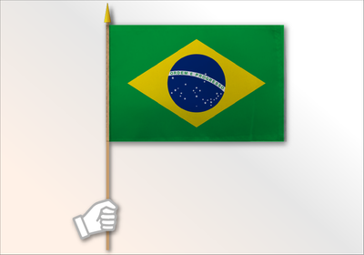 Brazil flag medium 12x18