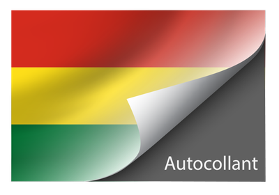 Standard Bolivia sticker