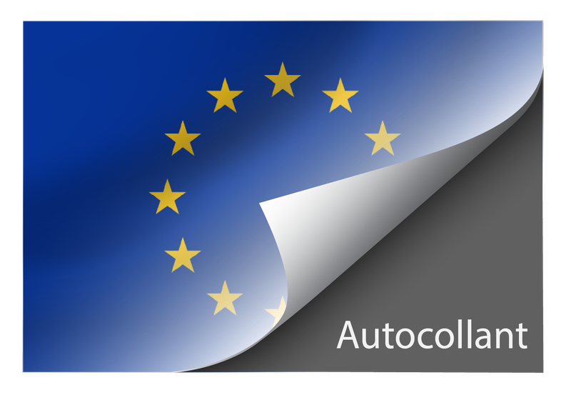 Standard European Union sticker