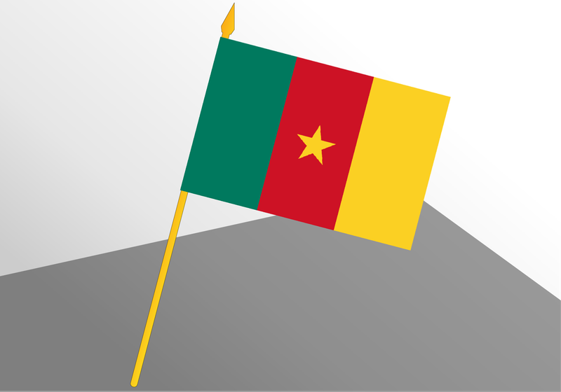 Cameroon small economic flag 4x6