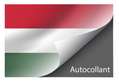 Standard Hungary sticker