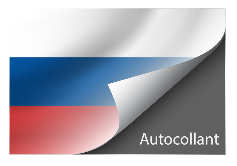 Standard Russia sticker
