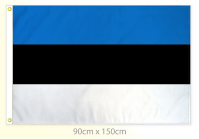 Estonia flag large 36x60