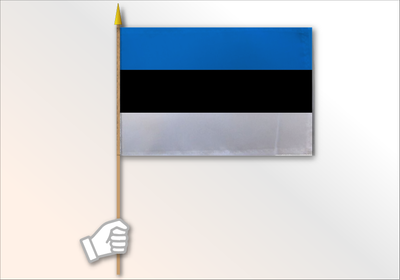 Estonia medium flag 12x18
