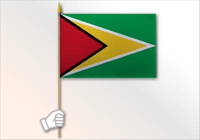 Guyana flag medium 12x18