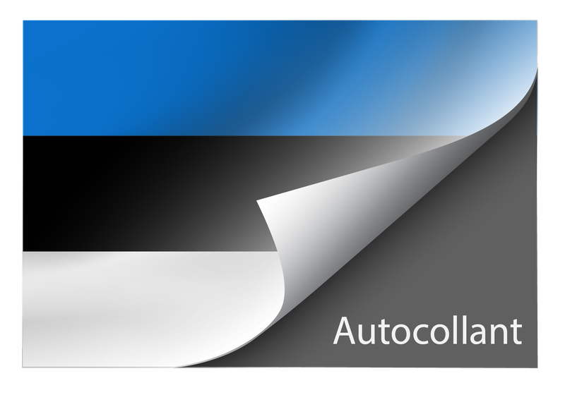 Standard Estonia sticker