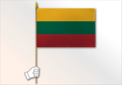 Lithuania medium flag 12x18