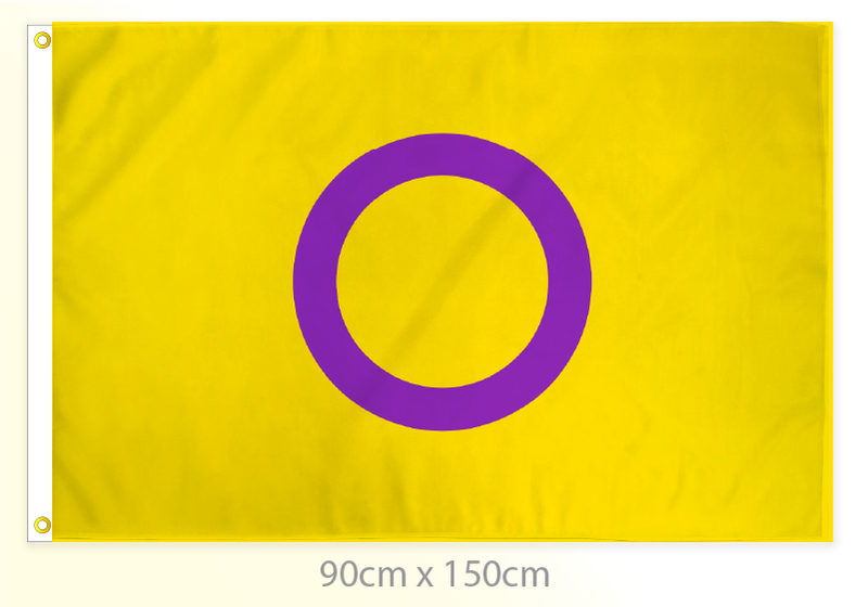 Intersex Pride Flag Large 36x60