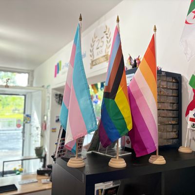Medium Stick Pride Flags 12x18