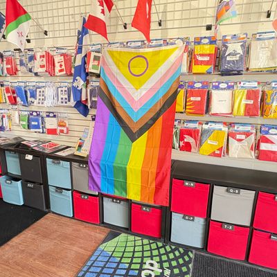 Large Pride Flags 3x5 ft Polyester Quality