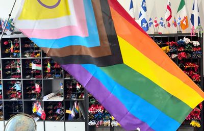 Large Pride Flags 3x5 ft Polyester Quality