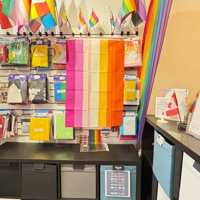 Medium Pride Flags 2x3 ft Polyester Quality