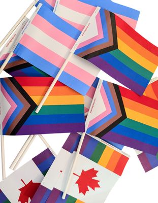 4x6 Paper Pride Flags