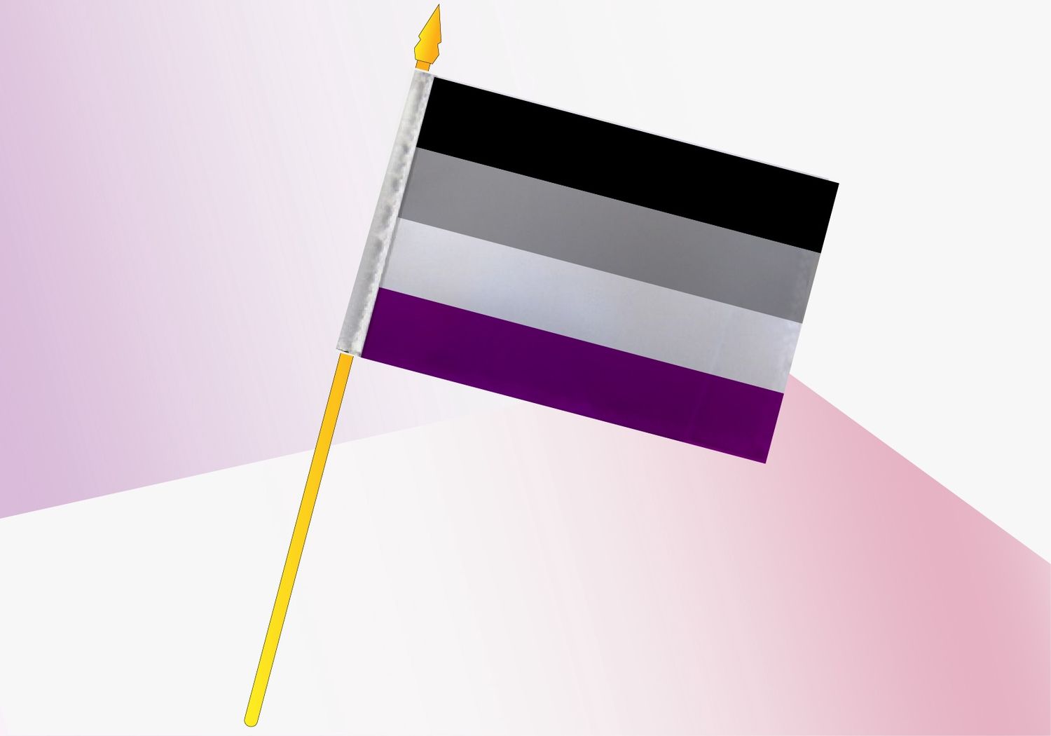 Asexual Pride Small Flag 4x6