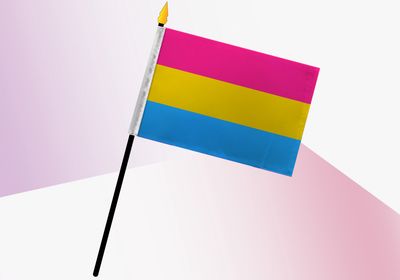 Pansexual Pride Small Flag 4x6