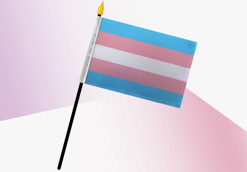 Trans Pride Small Flag 4x6