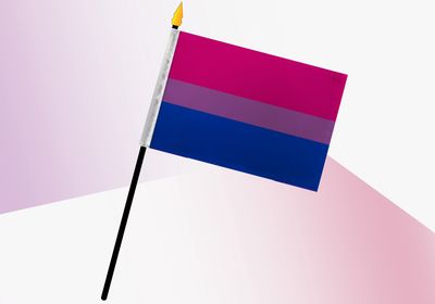 Bisexual Pride Small Flag 4x6