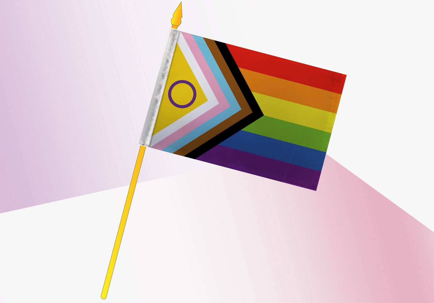 Inclusive pride with intersex symbol, small economic flag 4x6