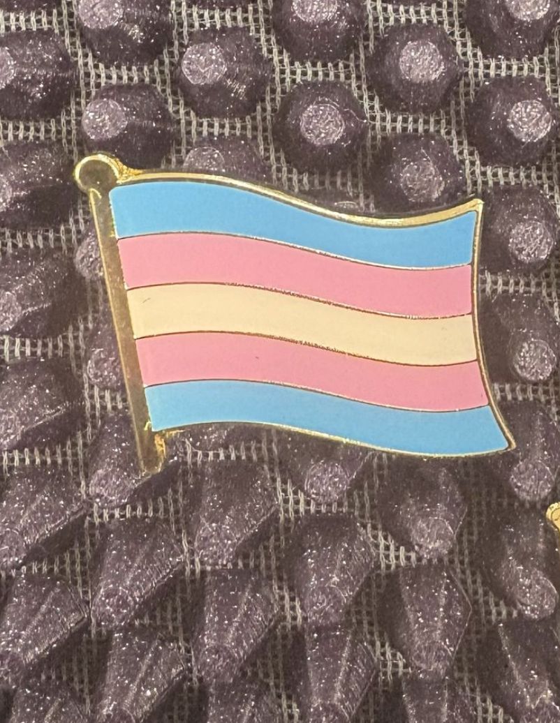 Trans Pride Large Pin