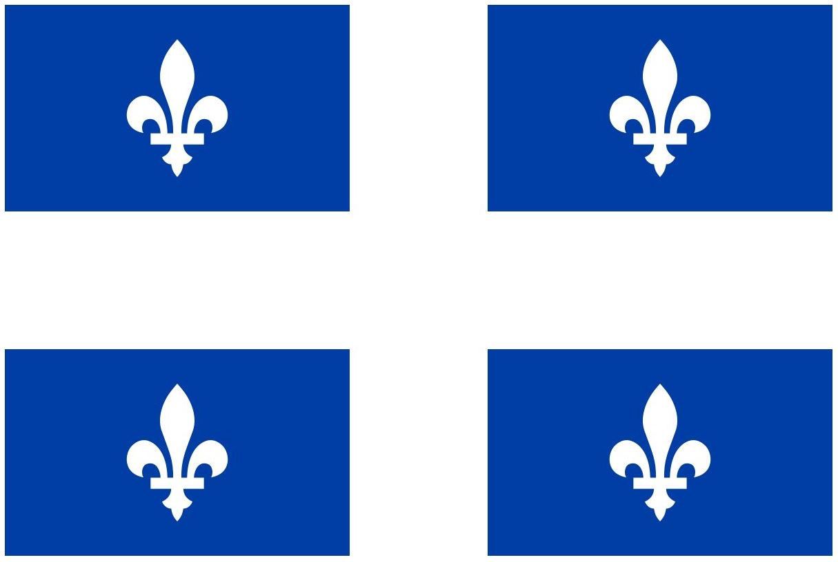 Collant électrostatique Québec